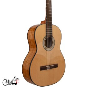 تصویر گیتارریچاردبونل مدل 825 