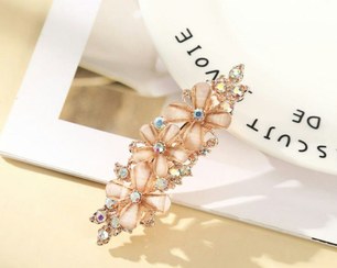 تصویر گیره فرانسوی مجلسی 