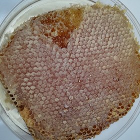 تصویر عسل با موم طبیعی 