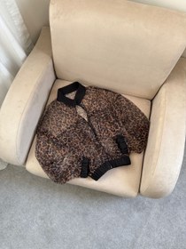 تصویر بامبر پلنگی 0781 