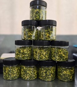 تصویر خلال پسته ۱۰۰گرمی 