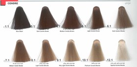 تصویر رنگ مو سری دودی حاوی روغن های گیاهی 120میل دوماسی 1.1-مشکی پر کلاغی ا Domacy Hair Color Cendre 120ml Domacy Hair Color Cendre 120ml