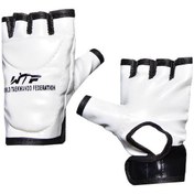 تصویر دستکش تکواندو Dae do مدل Large کیفیت بالا 