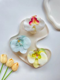 تصویر کلیپس ارکیده 