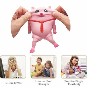 تصویر خوک شنی 