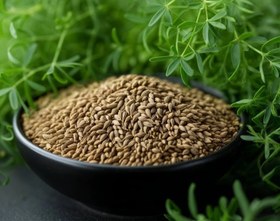 تصویر زیره سبز - ۱سیر Cumin