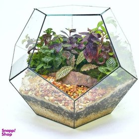 تصویر تراریوم مدل توپک 