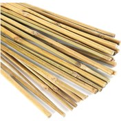 تصویر قیم نهال بامبو ۱۰۰۰۰ هزارتایی ارتفاع ۵۰ سانت Bamboo