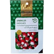 تصویر بذر تربچه دورنگ گرد فردین کشت 