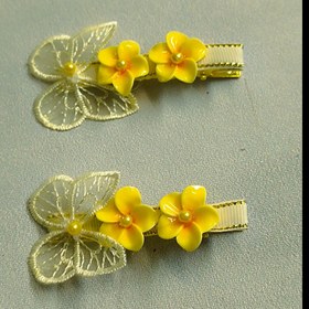 تصویر بهار(جفتی) 