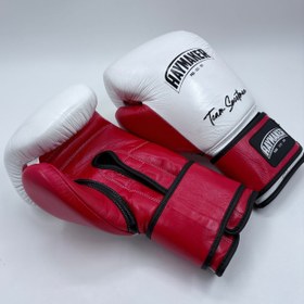 تصویر دستکش بوکس 