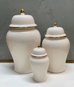 تصویر جینجر جار ست کامل Jinjer jar