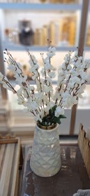 تصویر شکوفه سیب 