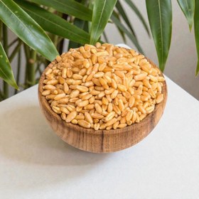 تصویر گندم حلیمی 