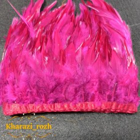 تصویر پر خروس متری - ۵ 