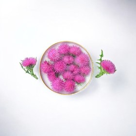 تصویر گیاه خار مریم 