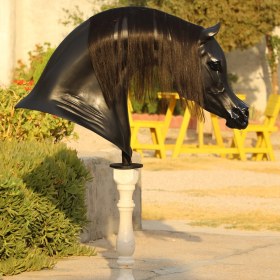 تصویر مجسمه کنار سالنی سر و گردن اسب عرب 