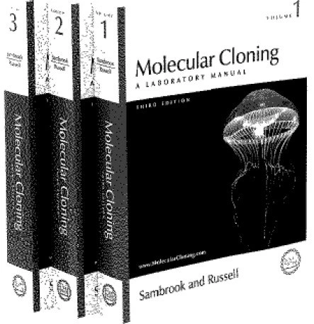 خرید و قیمت دانلود کتاب Molecular Cloning: A Laboratory Manual 3rd | ترب