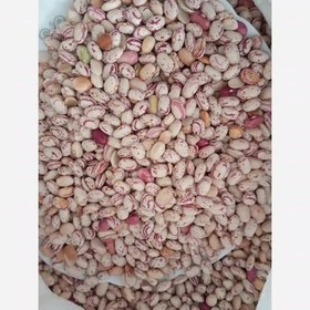 تصویر لوبیا چیتی 