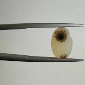 تصویر سنگ قیمتی عقیق شجر بیضی 240961 