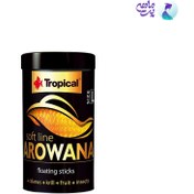 تصویر غذای استیکی سافت لاین آروانا سایز لارج تروپیکال Soft Line Arowan Size L 