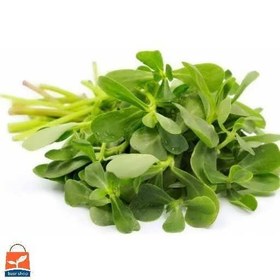 تصویر بذر پرپین (خرفه) 10، 100 و 500 گرمی