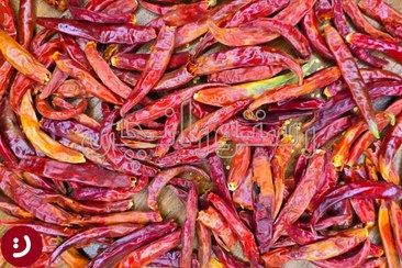 تصویر فلفل قرمز هندی(شاخ بزی) - پاکت پلاستیکی / 1kg / پودر فلفل قرمز هندی Red chili pepper