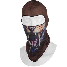 تصویر ماسک اسکی کد S170 