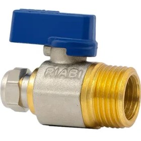 تصویر شیر ساید ریابی 