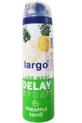 تصویر اسپری تاخیری لارگو رایحه آناناس حجم 65 میلی لیتر Largo Pineapple Delay Spray Soulution 65ml