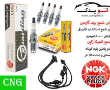 تصویر پک ویژه افزایش شتاب و قدرت 405, پارس, سمند, اریسان 1.8 cng - با شمع انجیکا دو پلاتین / و وایر شمع معمولی 