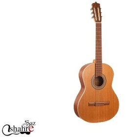 تصویر گیتار کلاسیک پارسی D6 