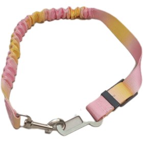 تصویر کمربند ایمنی مخصوص پت 