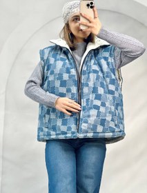 تصویر پافر دو رو 