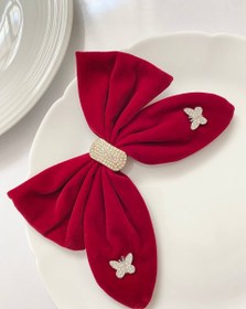 تصویر گیره انبری مجلسی - محدود 