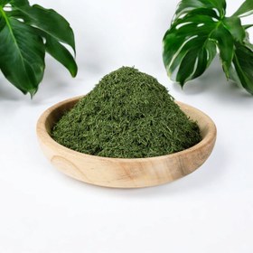 تصویر شوید (کاهش قندخون) 