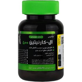 تصویر ال کارنیتین 500 میلی گرم 100 عدد جالینوس L-Carnitine 500 mg Jalinous