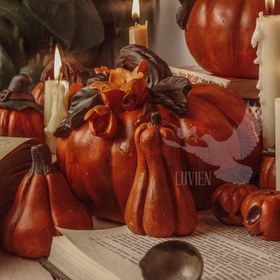 تصویر کدو تنبل 