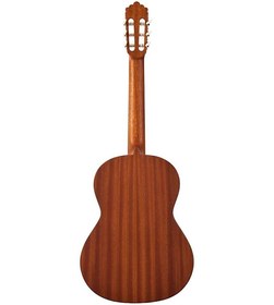 تصویر گیتار آلتامیر مدل N100 