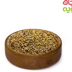 تصویر سماق دان قهوه ای کردستان 