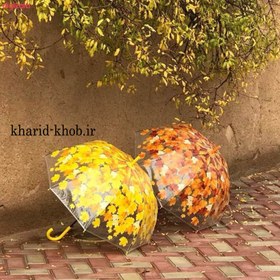 تصویر چتر پاییزی 