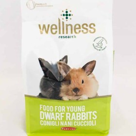تصویر پلت مخصوص بچه خرگوش مدل Wellness برند Padovan ا padovan food for young dwarf rabbits wellness padovan food for young dwarf rabbits wellness