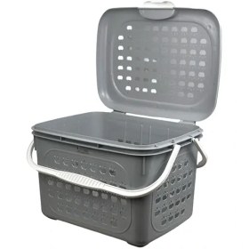 تصویر سبد پیک نیک سیب اشکان 