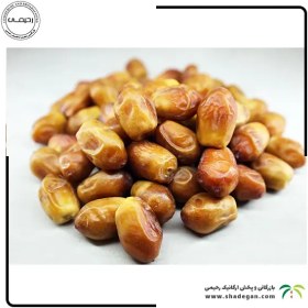 تصویر خرما زاهدی فلّه ای 