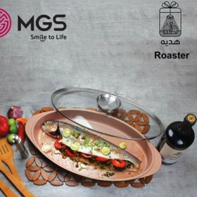 تصویر ماهی پز MGS سایز ۴۲ 