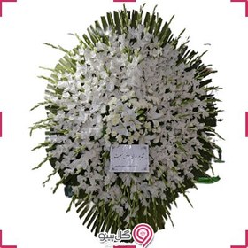 تصویر تاج گل سوژین 