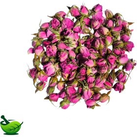 تصویر غنچه گل داراب 