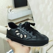 تصویر ونس خرسی 