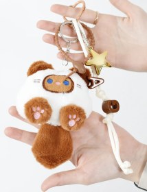 تصویر چارم بگ پیشی 