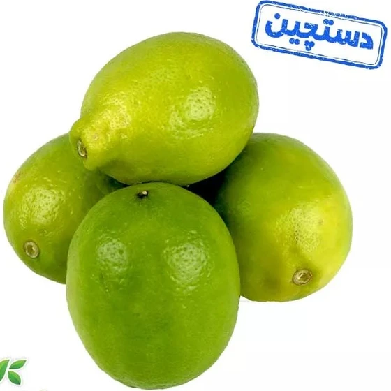 خرید و قیمت لیمو ترش سنگی دستچین کشت کالا کیسه ای 5 کیلویی | ترب